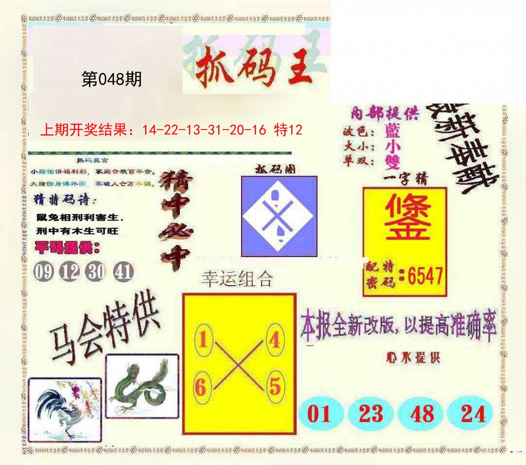 2025048期新抓码王