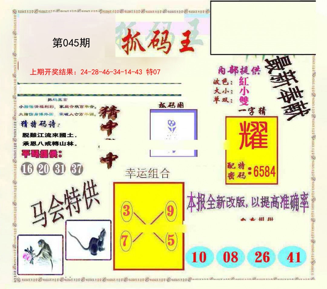 2025045期新抓码王