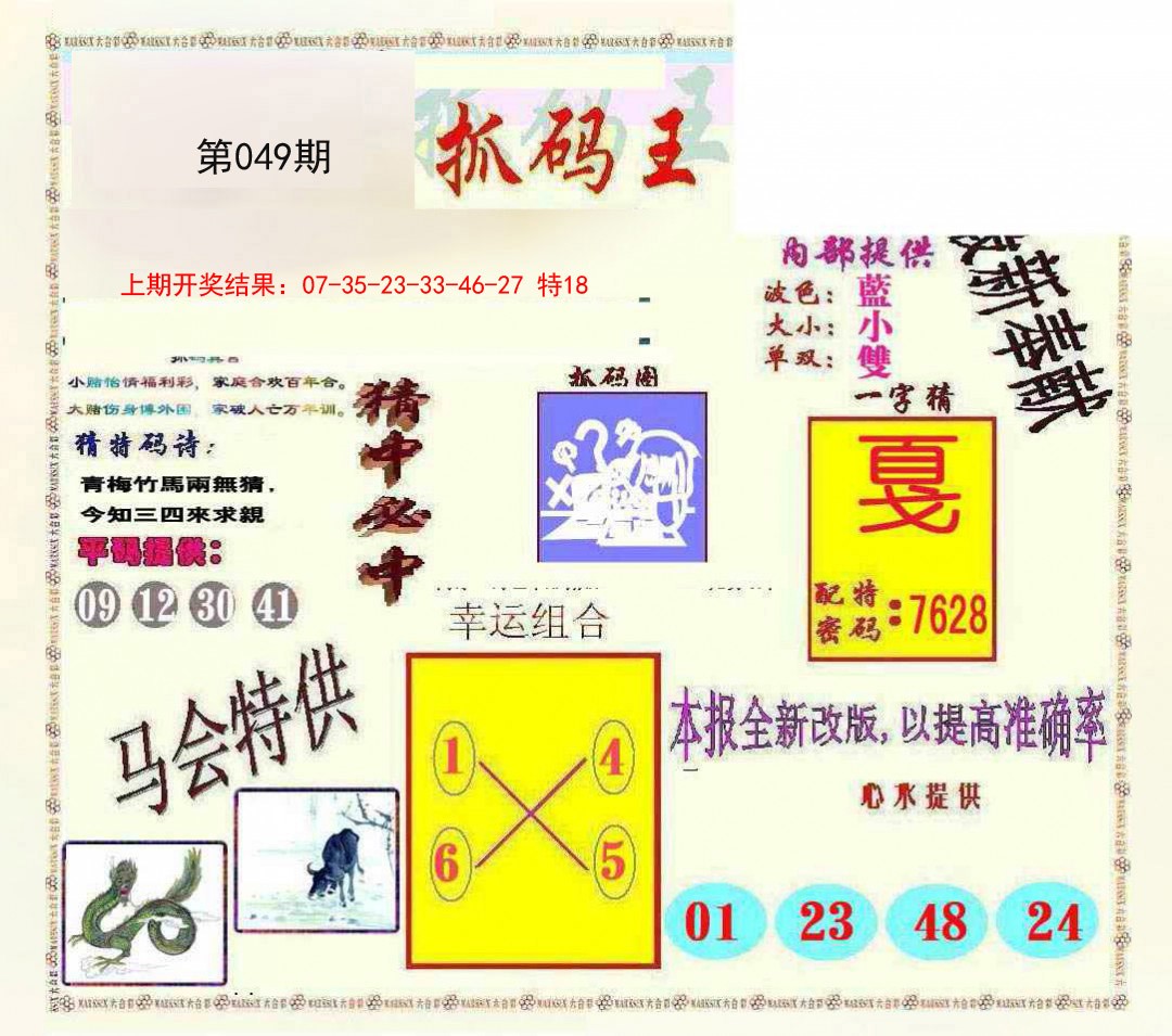 2025049期新抓码王