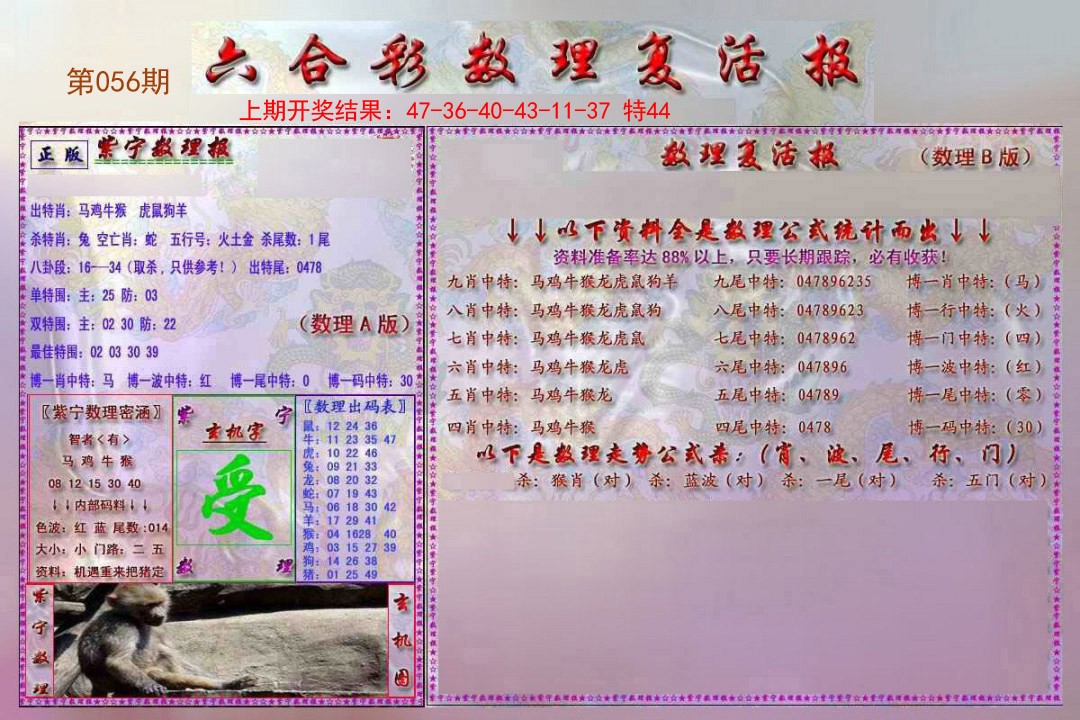 2025056期数理复活报