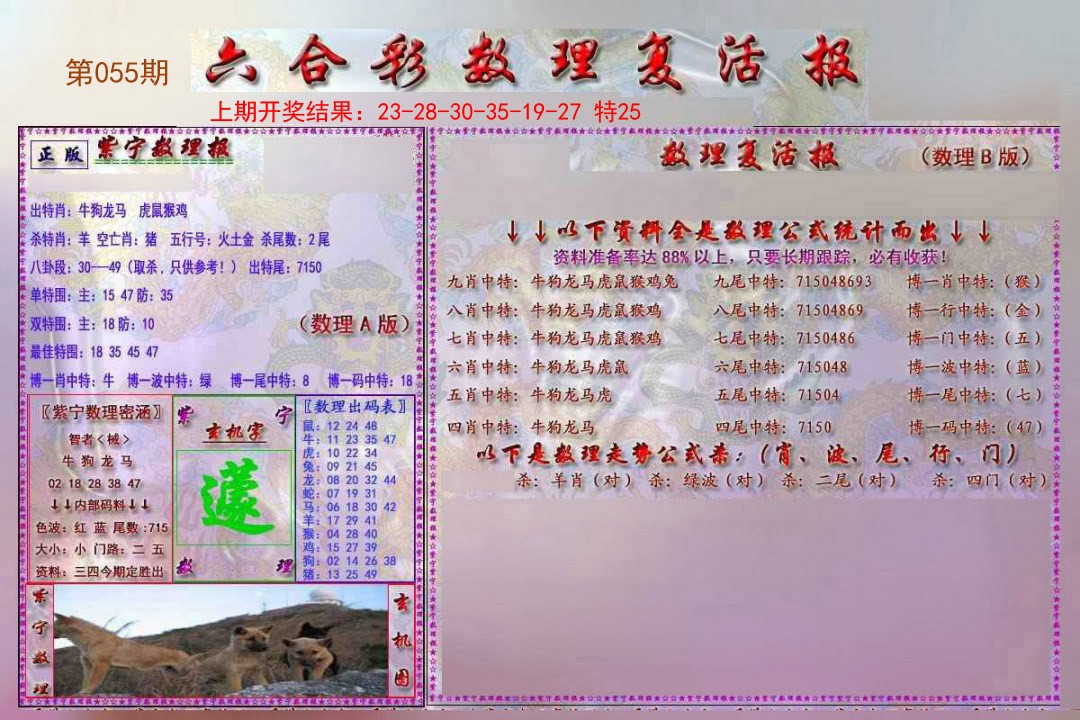 2025055期数理复活报