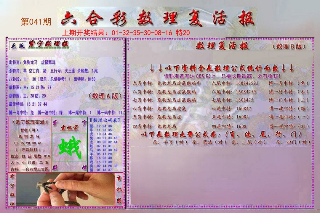 2025041期数理复活报