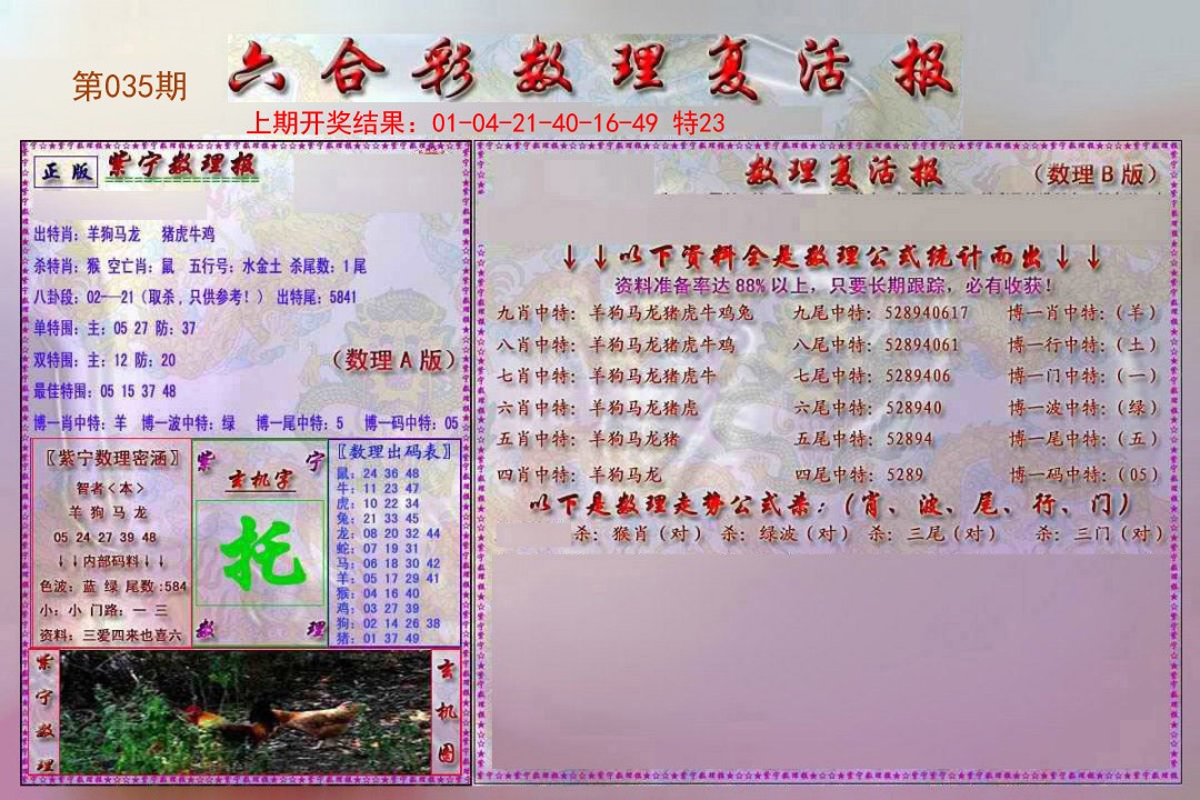 2025035期数理复活报
