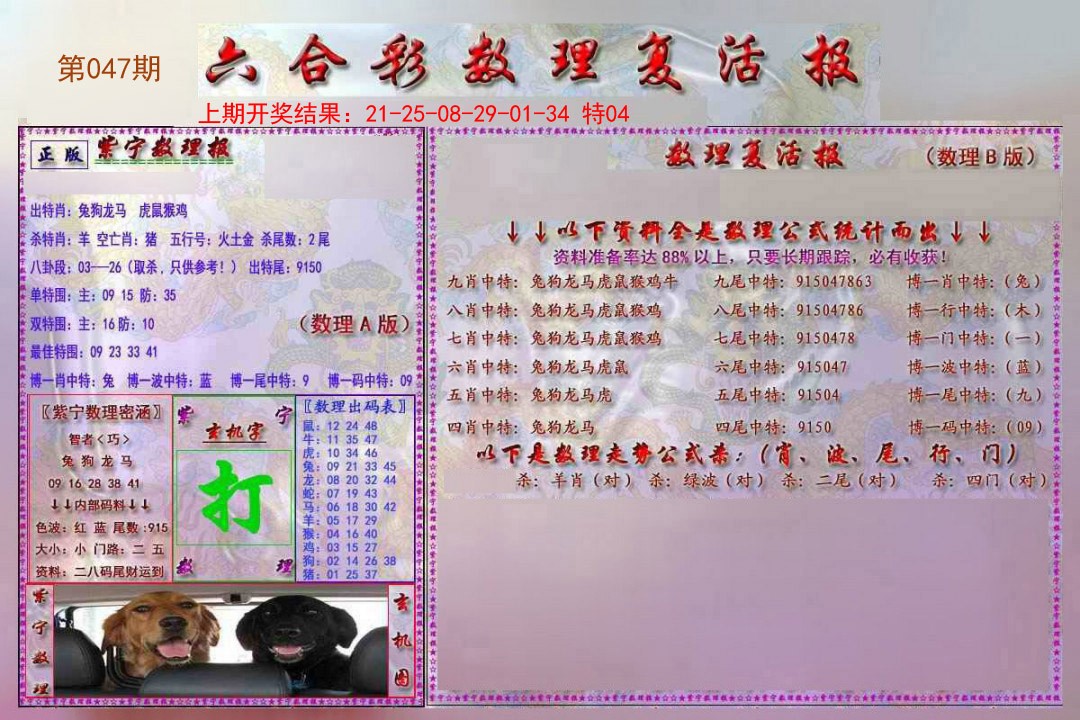2025047期数理复活报