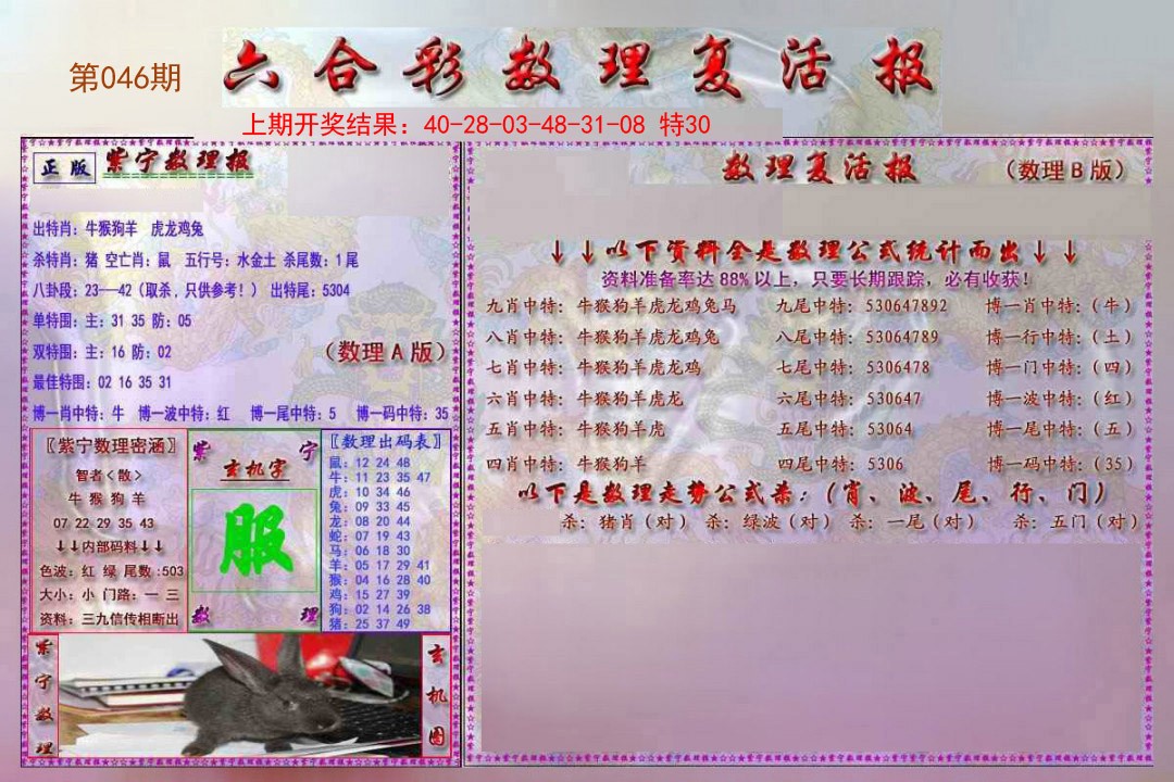 2025046期数理复活报