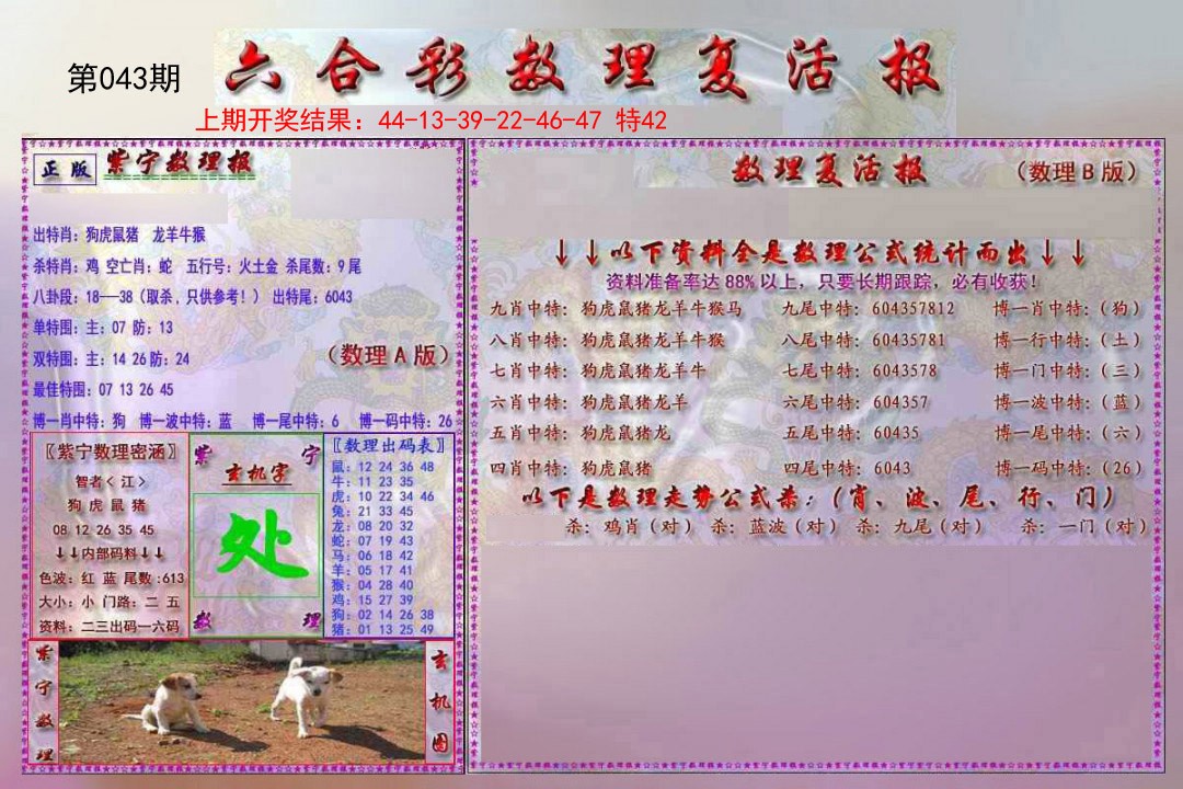 2025043期数理复活报