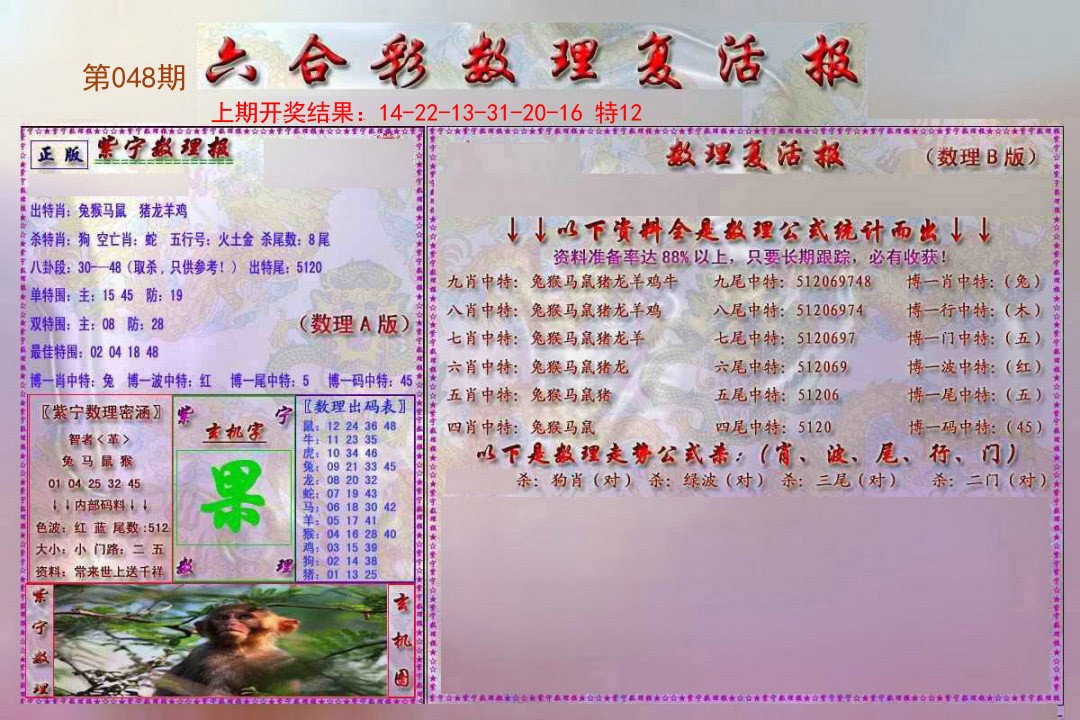 2025048期数理复活报