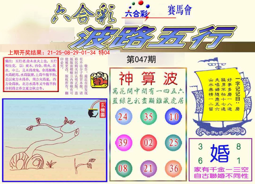 2025047期波路五行