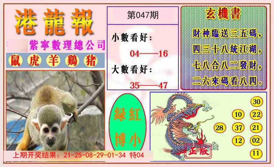 2025047期港龙报