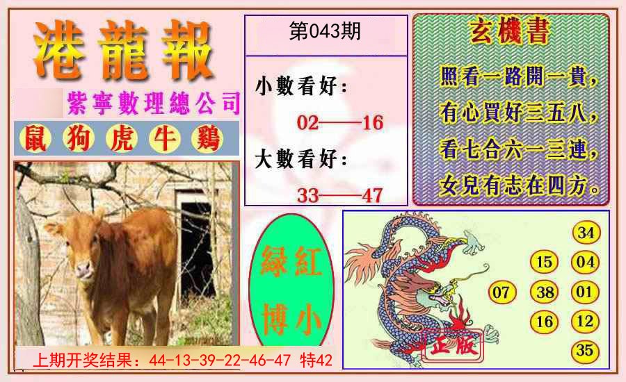 2025043期港龙报