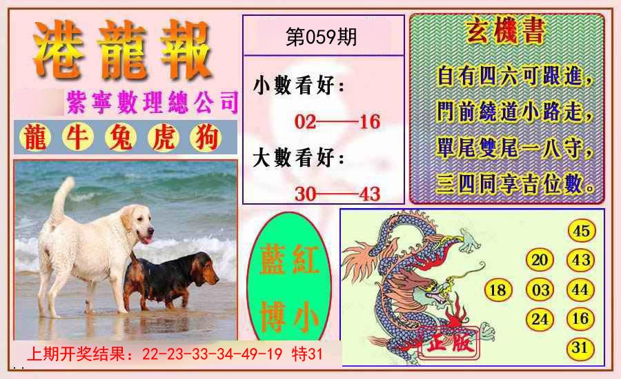 2025059期港龙报