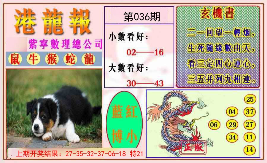 2025036期港龙报