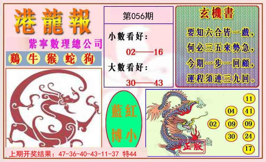 2025056期港龙报