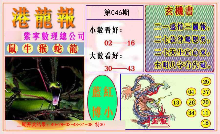 2025046期港龙报