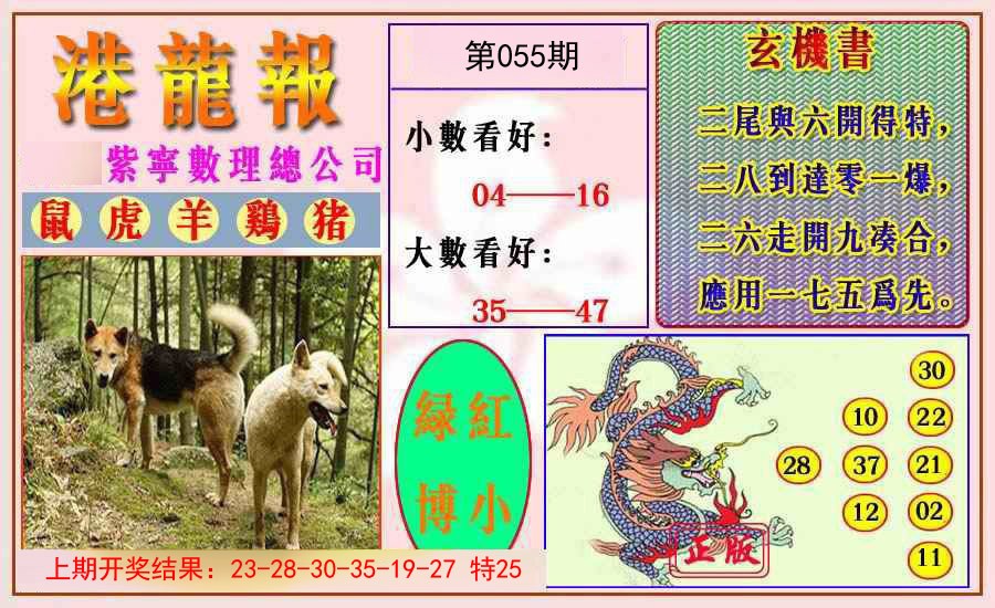 2025055期港龙报