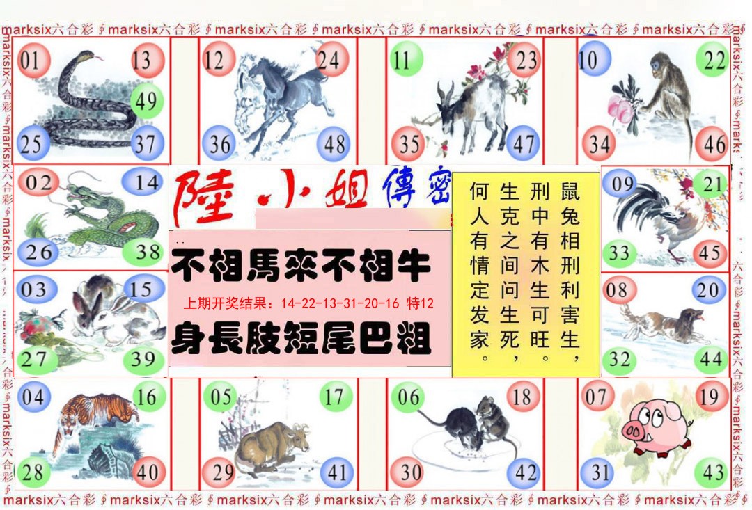 2025048期陆小姐传密B