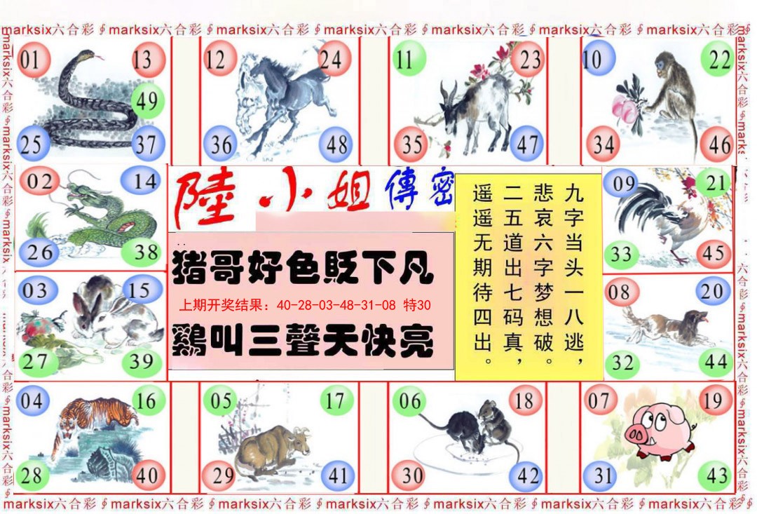 2025046期陆小姐传密B