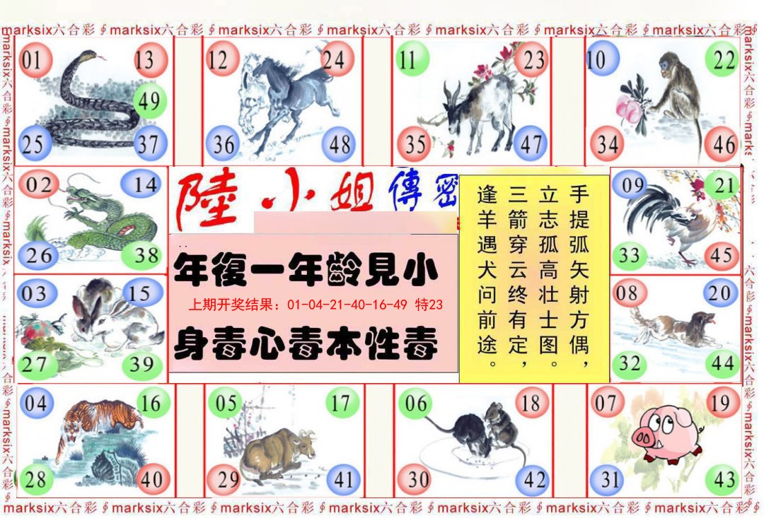 2025035期陆小姐传密B
