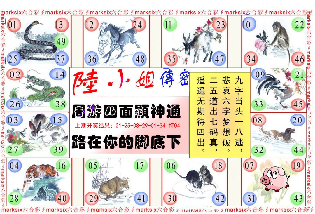 2025047期陆小姐传密B