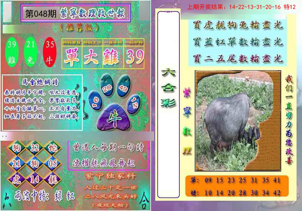 2025048期数理救世报