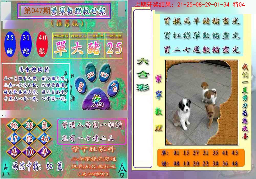2025047期数理救世报