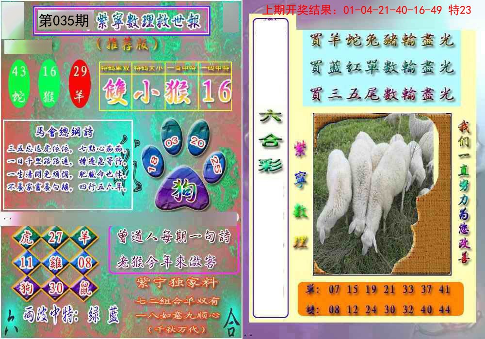 2025035期数理救世报