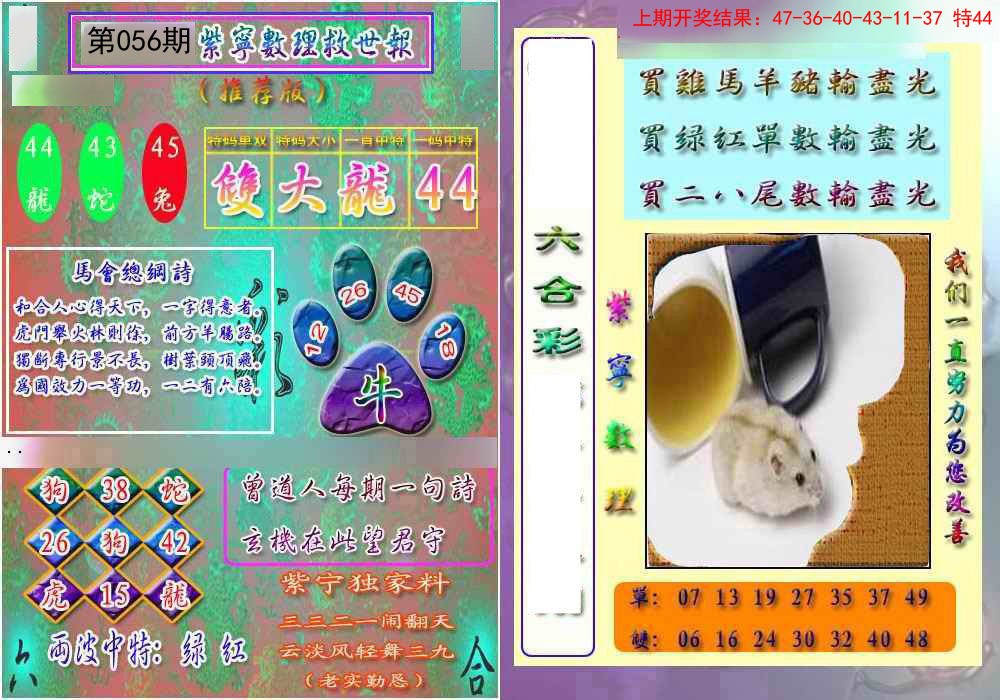 2025056期数理救世报