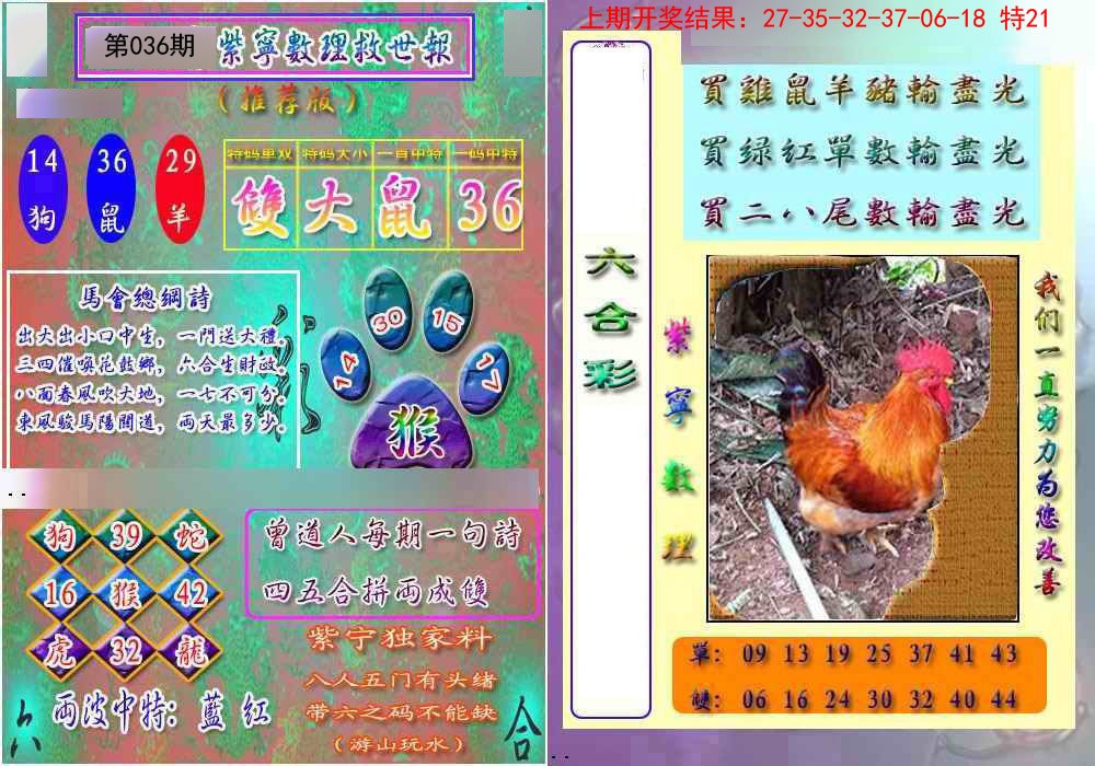 2025036期数理救世报