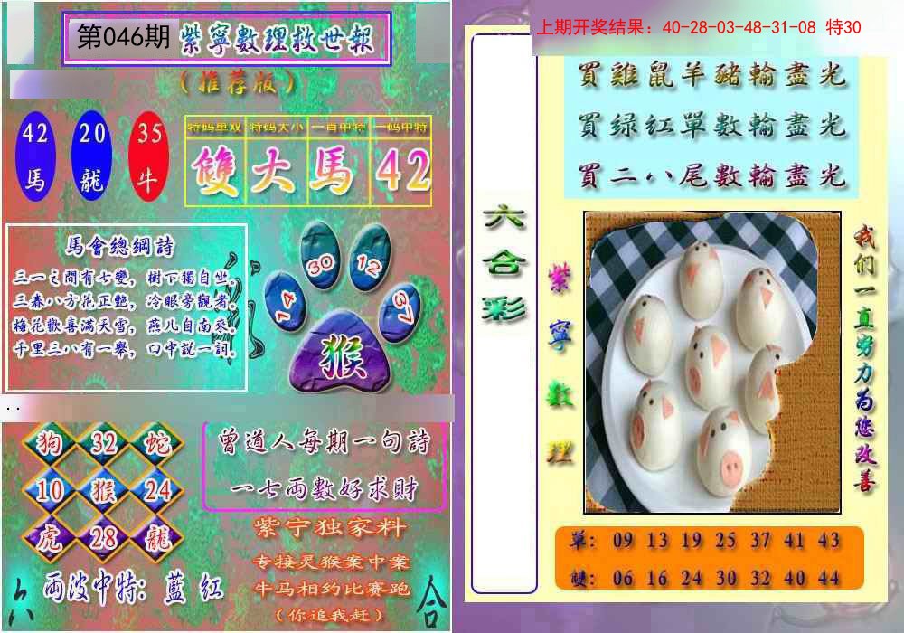 2025046期数理救世报