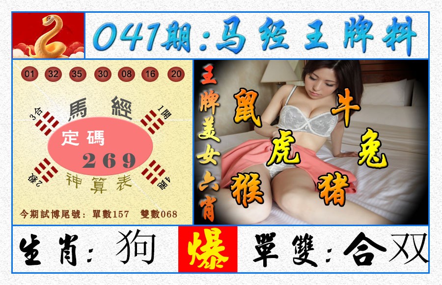 2025041期王牌料