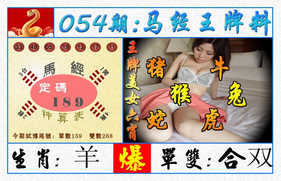 2025054期王牌料