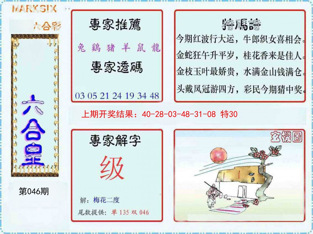 2025046期六合皇