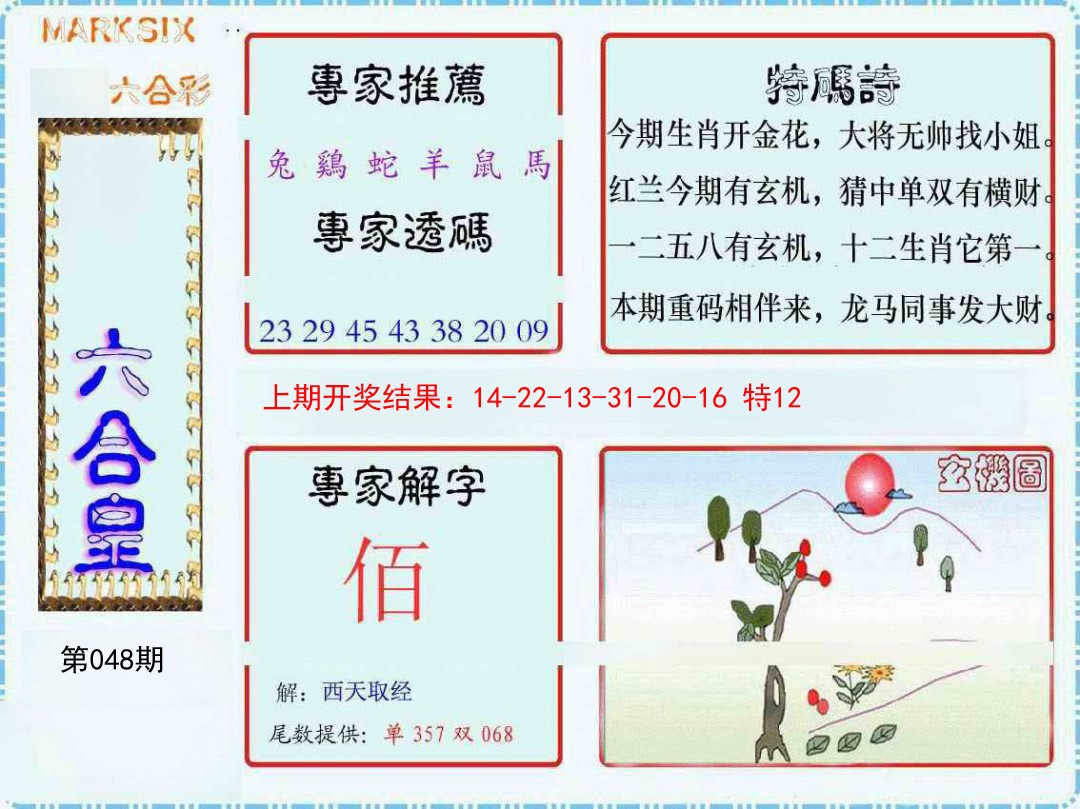 2025048期六合皇