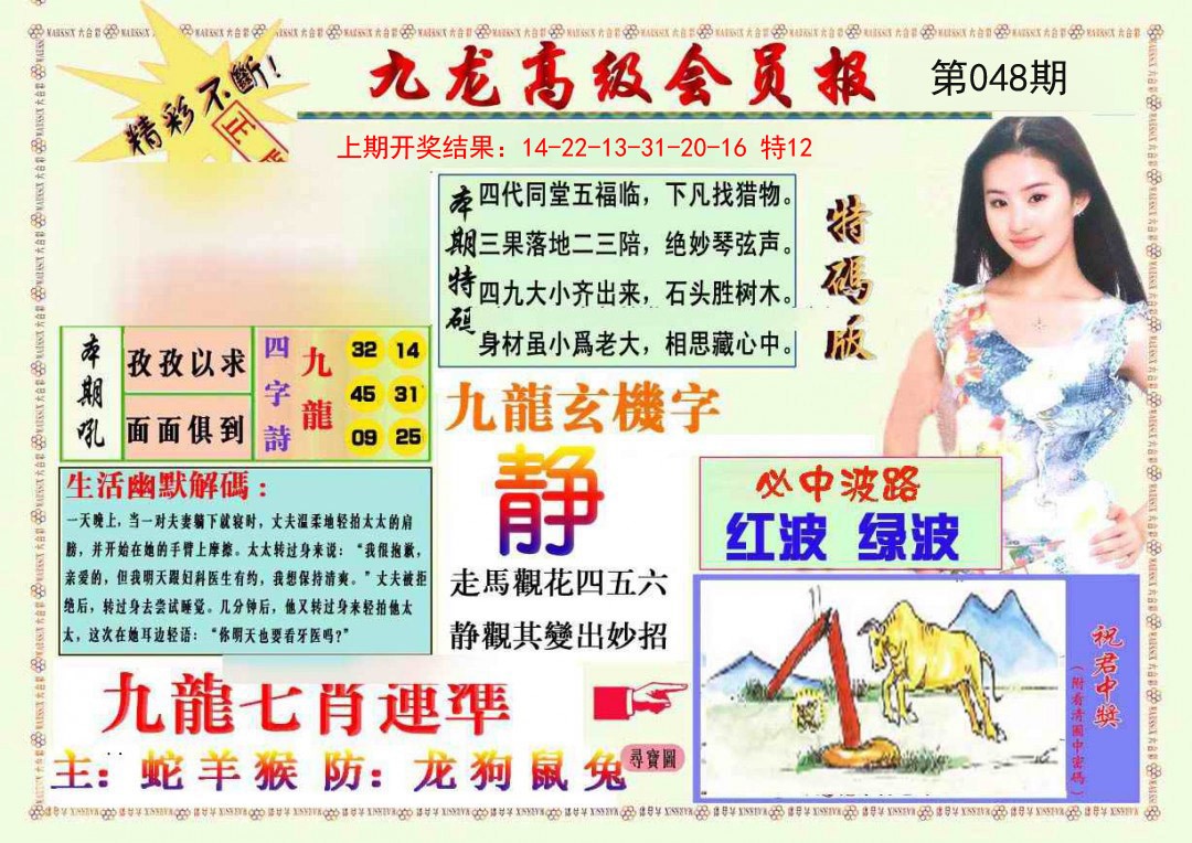 2025048期九龙高级会员报