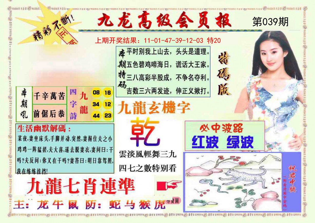 2025039期九龙高级会员报