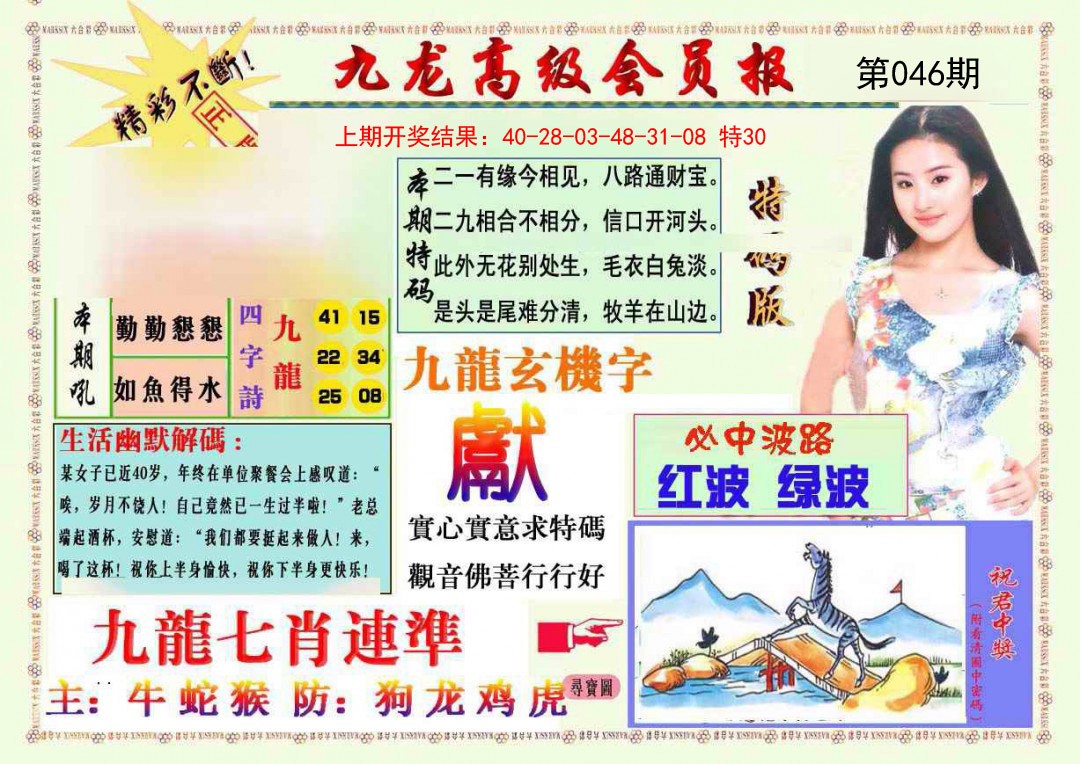 2025046期九龙高级会员报