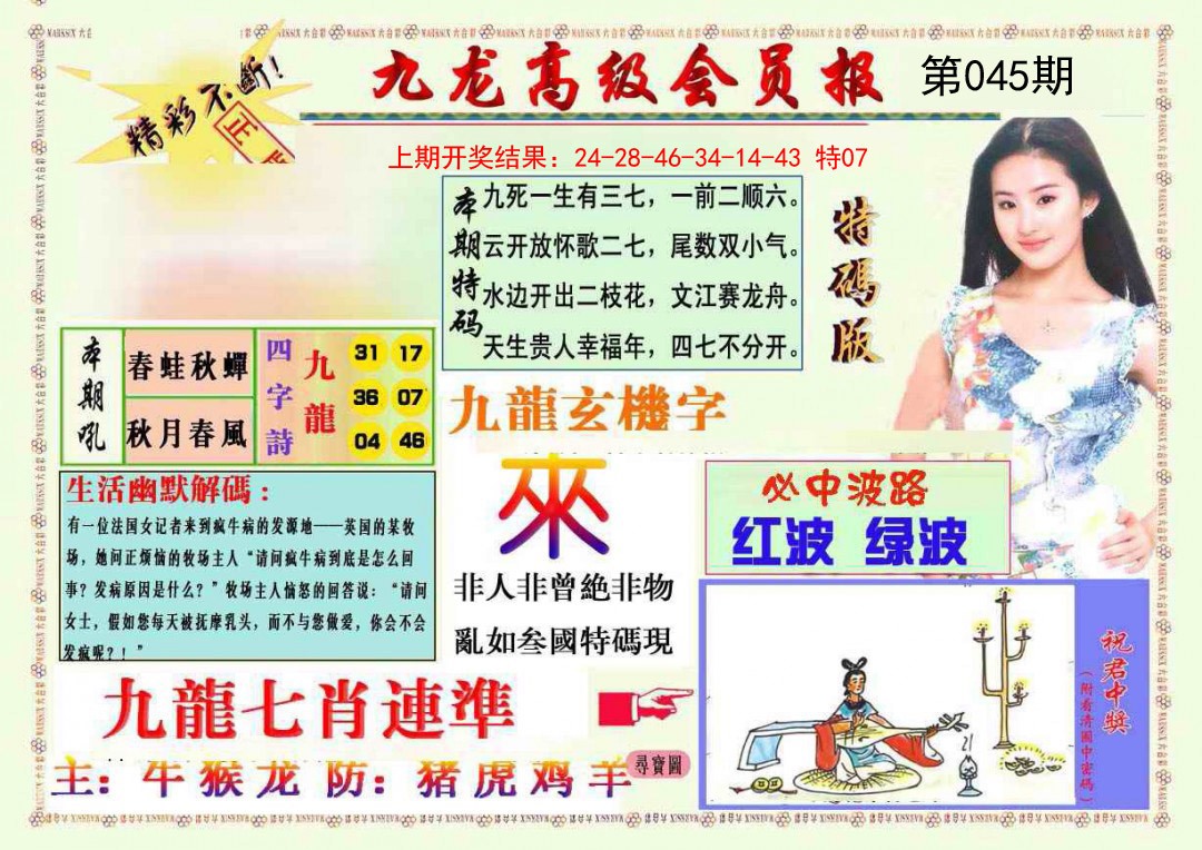 2025045期九龙高级会员报