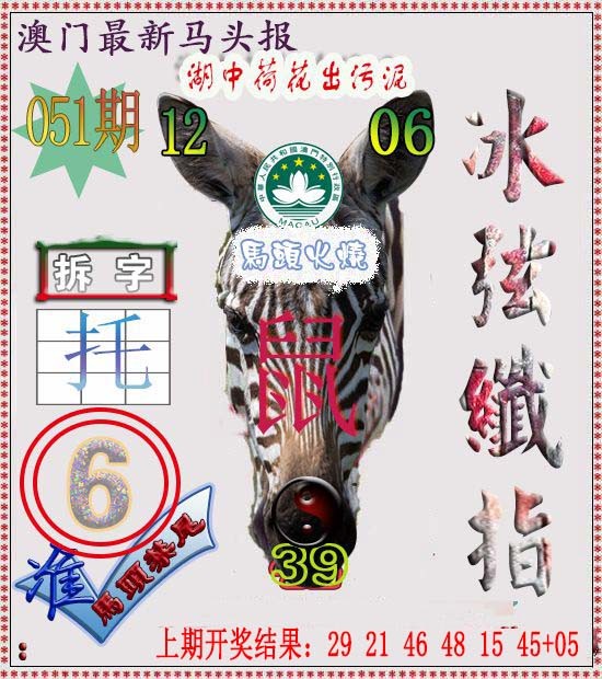 2025051期马头报
