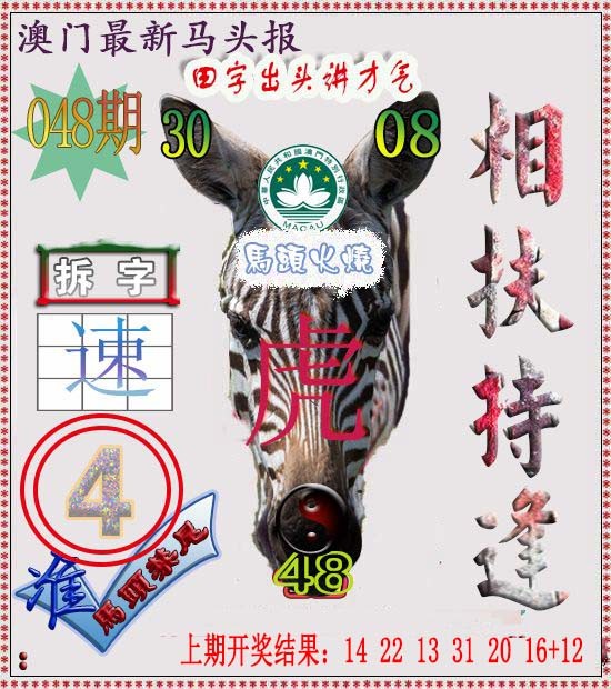 2025048期马头报