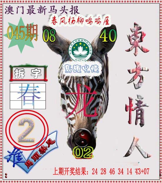 2025045期马头报