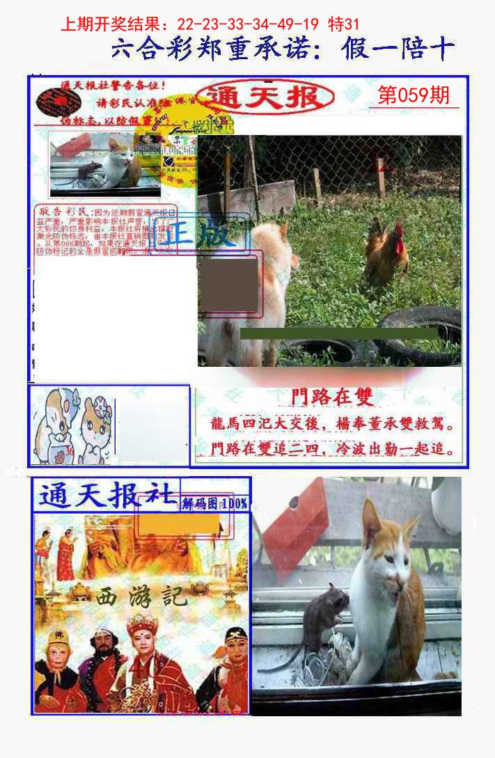 2025059期假一陪十通天报