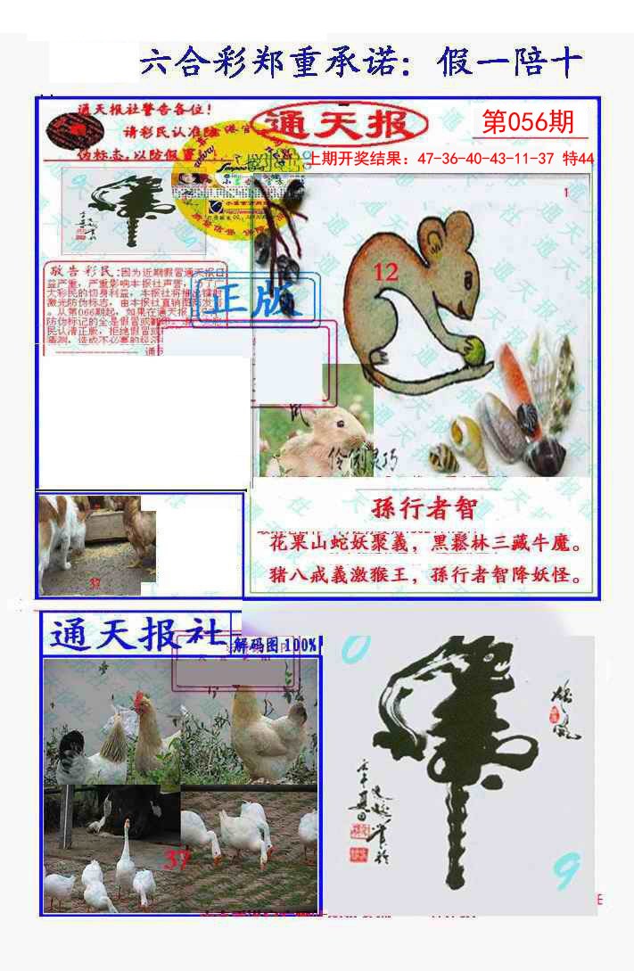 2025056期假一陪十通天报