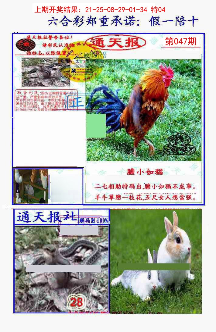 2025047期假一陪十通天报