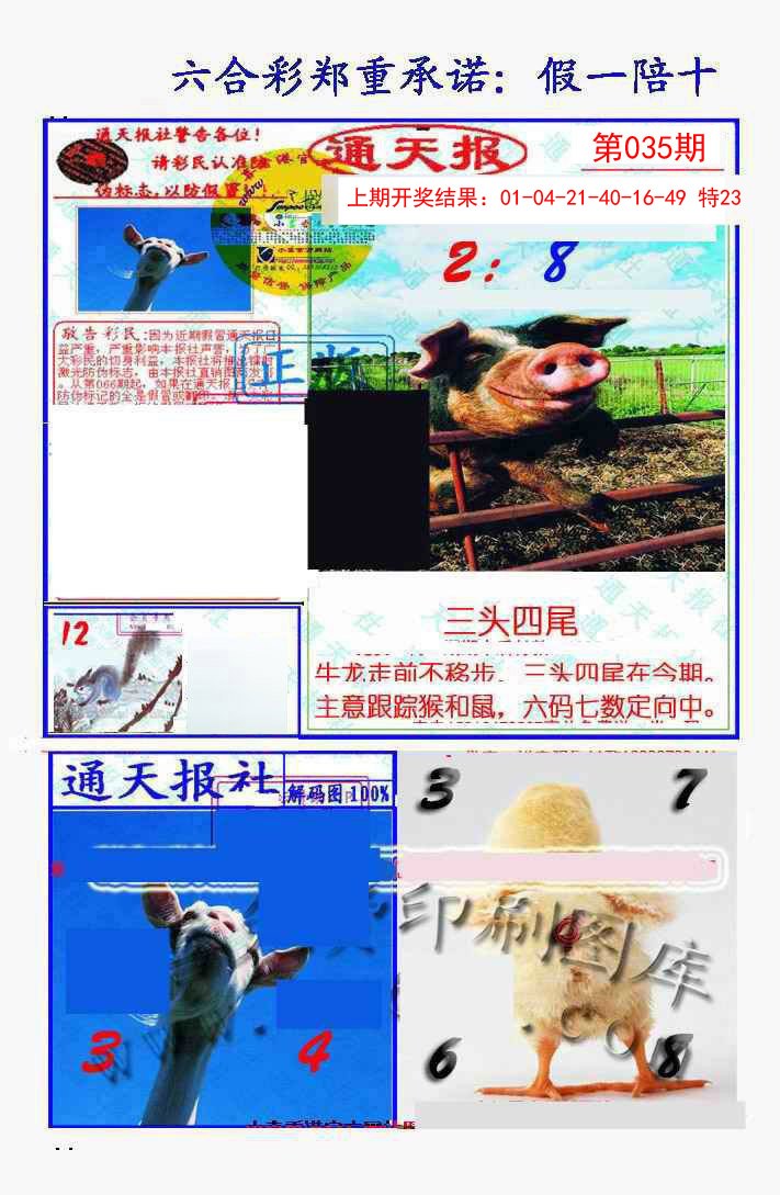 2025035期假一陪十通天报