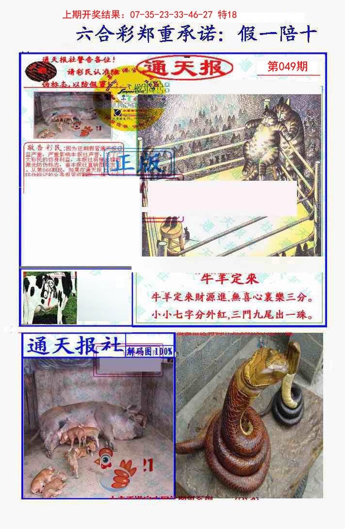 2025049期假一陪十通天报