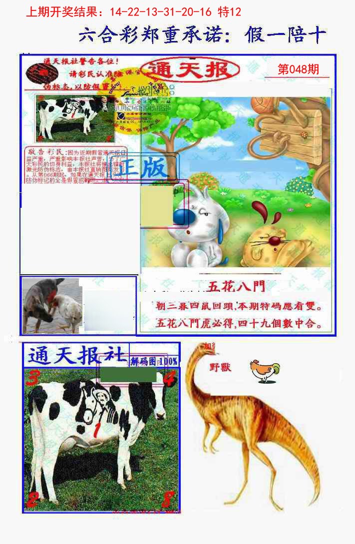 2025048期假一陪十通天报