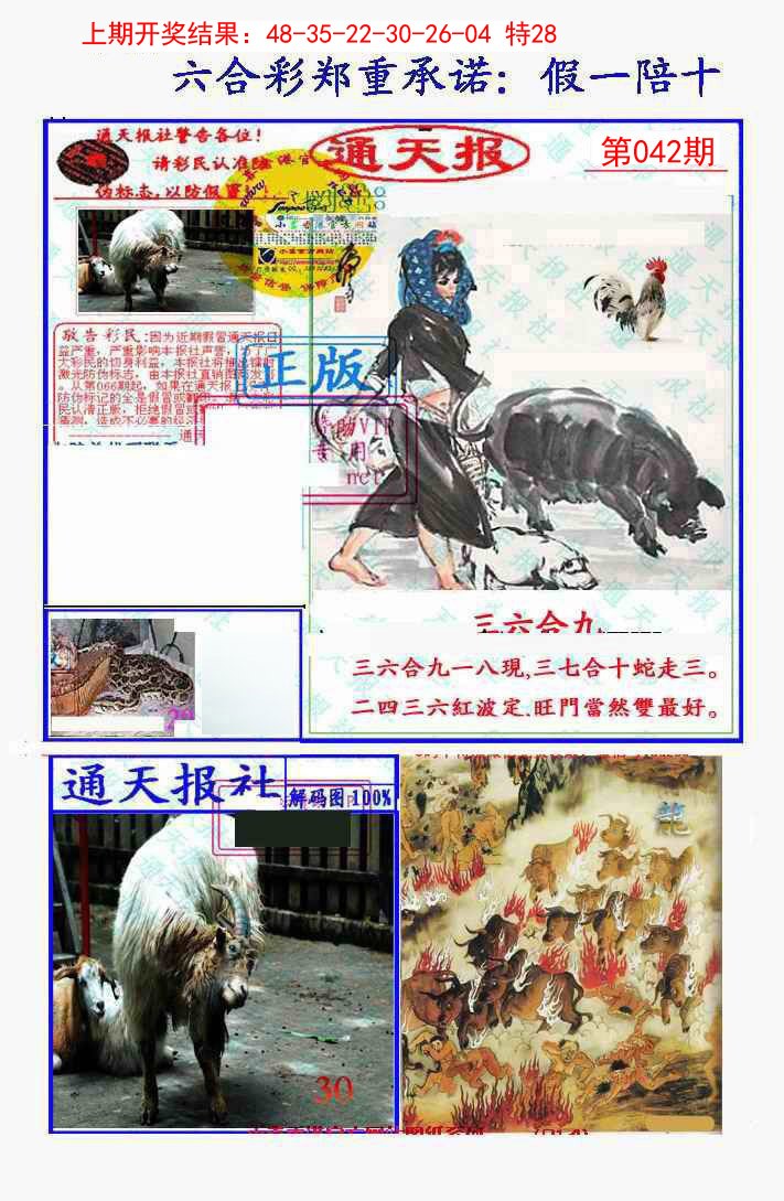 2025042期假一陪十通天报
