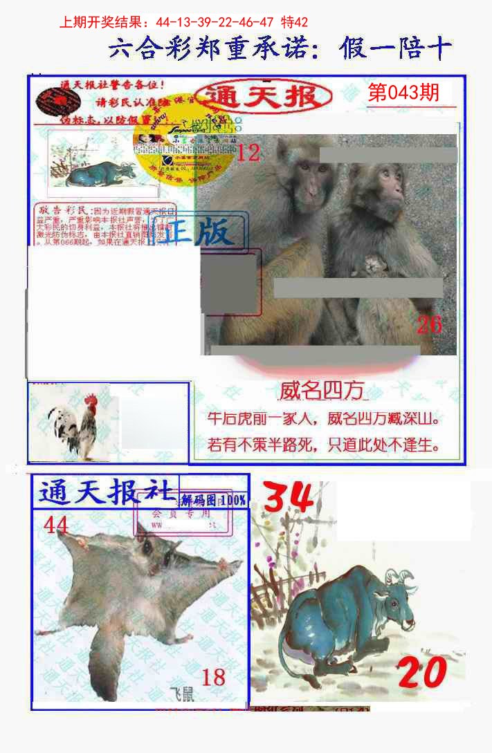 2025043期假一陪十通天报