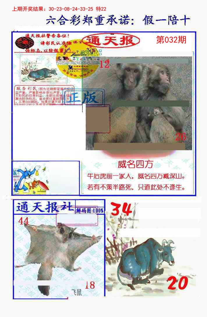 2025032期假一陪十通天报