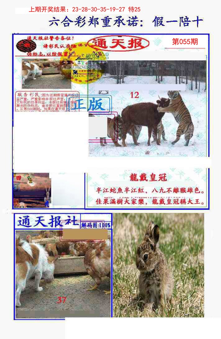 2025055期假一陪十通天报